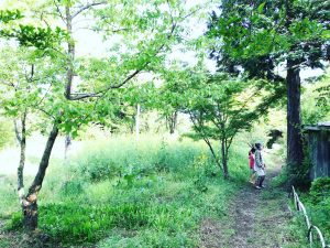 明石農園