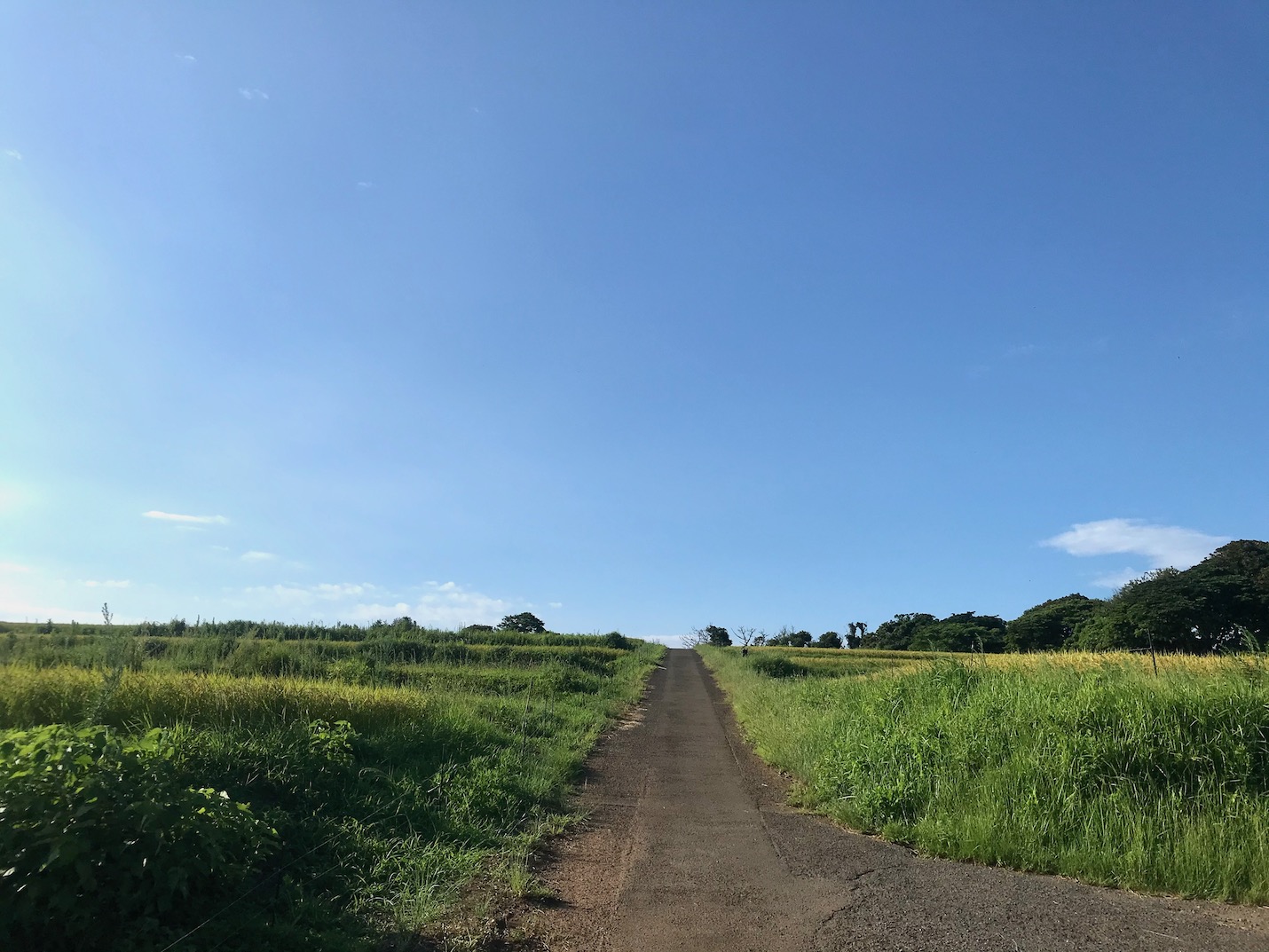 小値賀島の風景