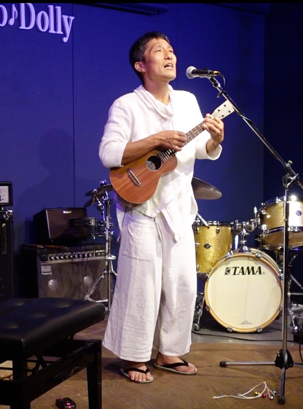 平魚泳